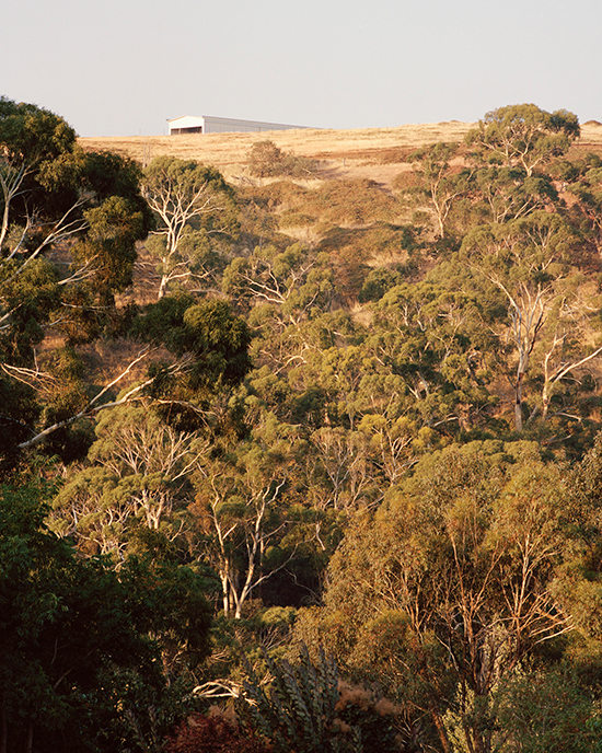 200804W_P_Longhouse_03b