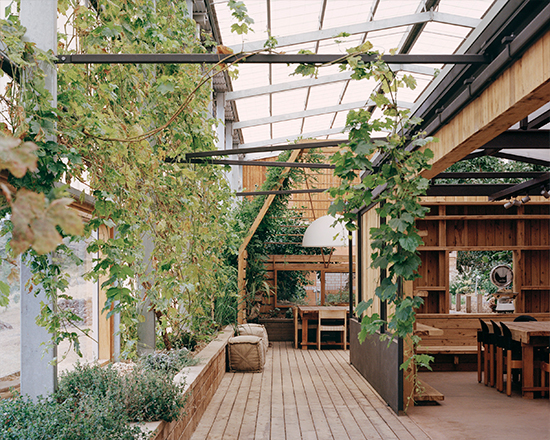200804W_P_Longhouse_10