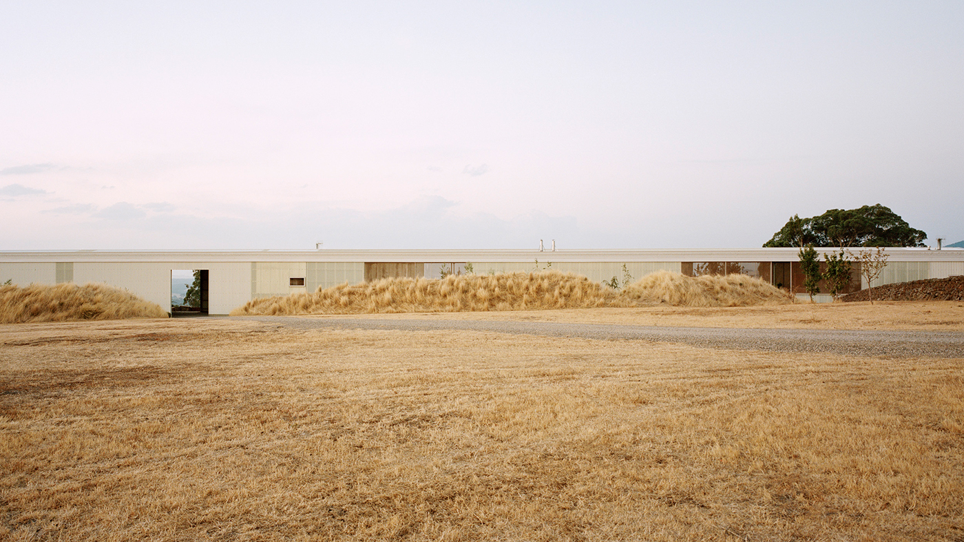 200804_W_P_Longhouse_Foto-de-portada