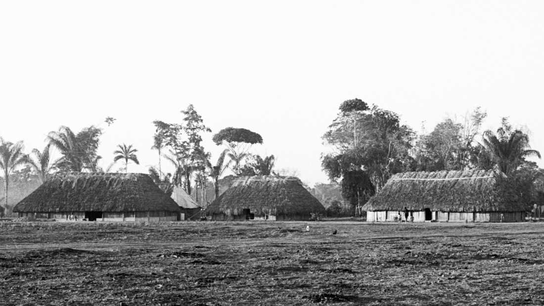 200805_W_P_XINGU_01