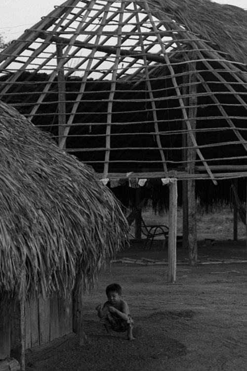 200805_W_P_XINGU_02