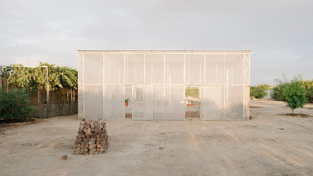 230523_W_P_salazarsequeromedina_Greenhouse_-03