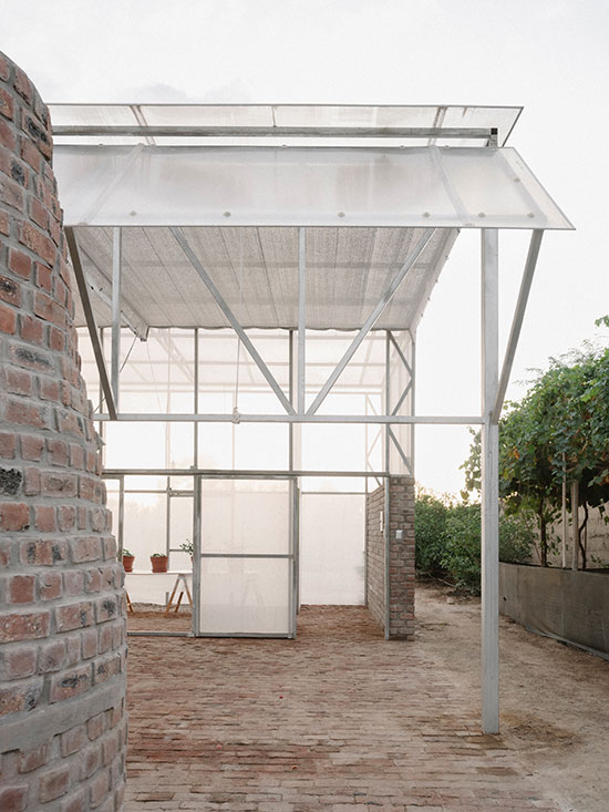 230523_W_P_salazarsequeromedina_Greenhouse_-05