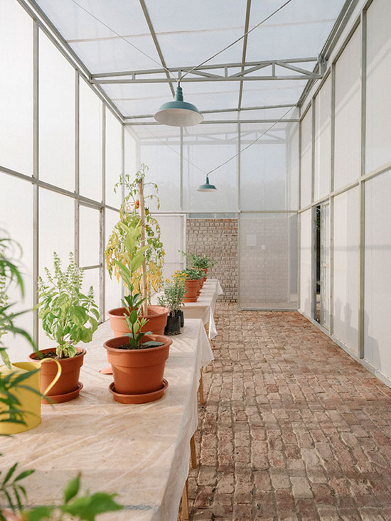 230523_W_P_salazarsequeromedina_Greenhouse_-09