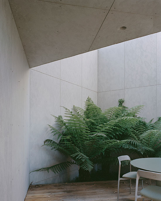230802_W_P_Edition-Office_Mossy-Point-House_05