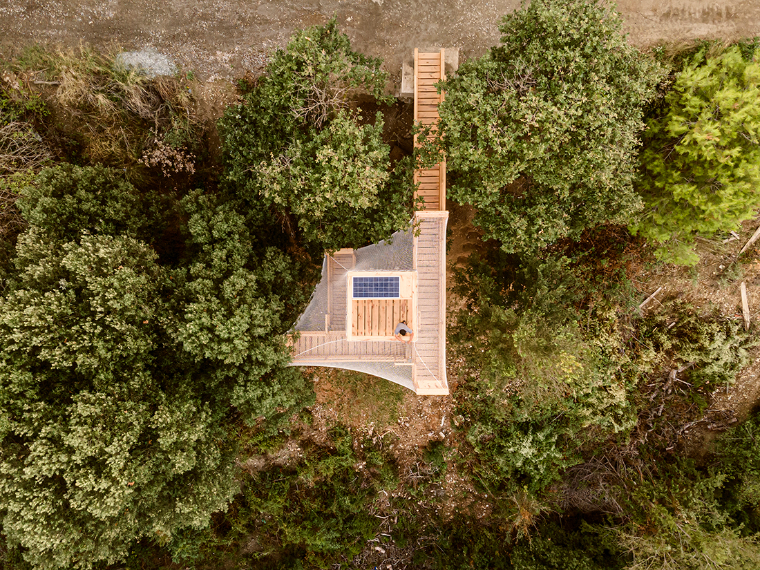 231205_W_P_Flora-Observatory_02
