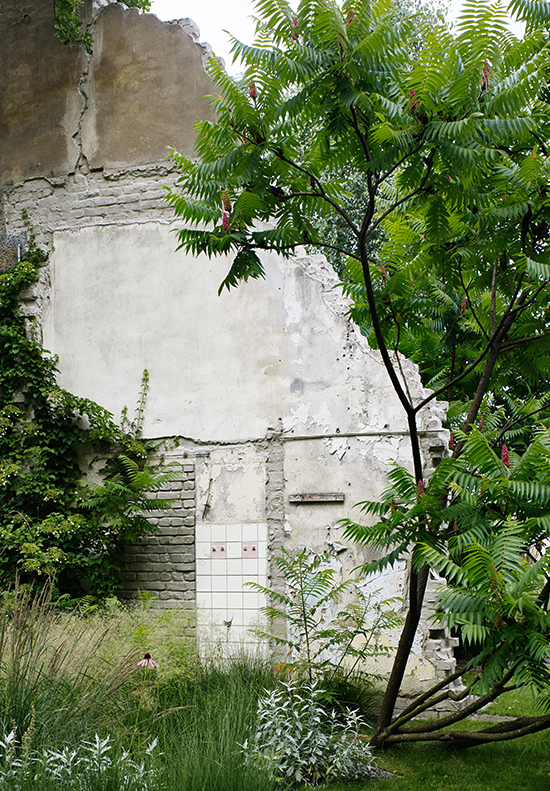231206_W_P_Jardín-de-ruinas_06