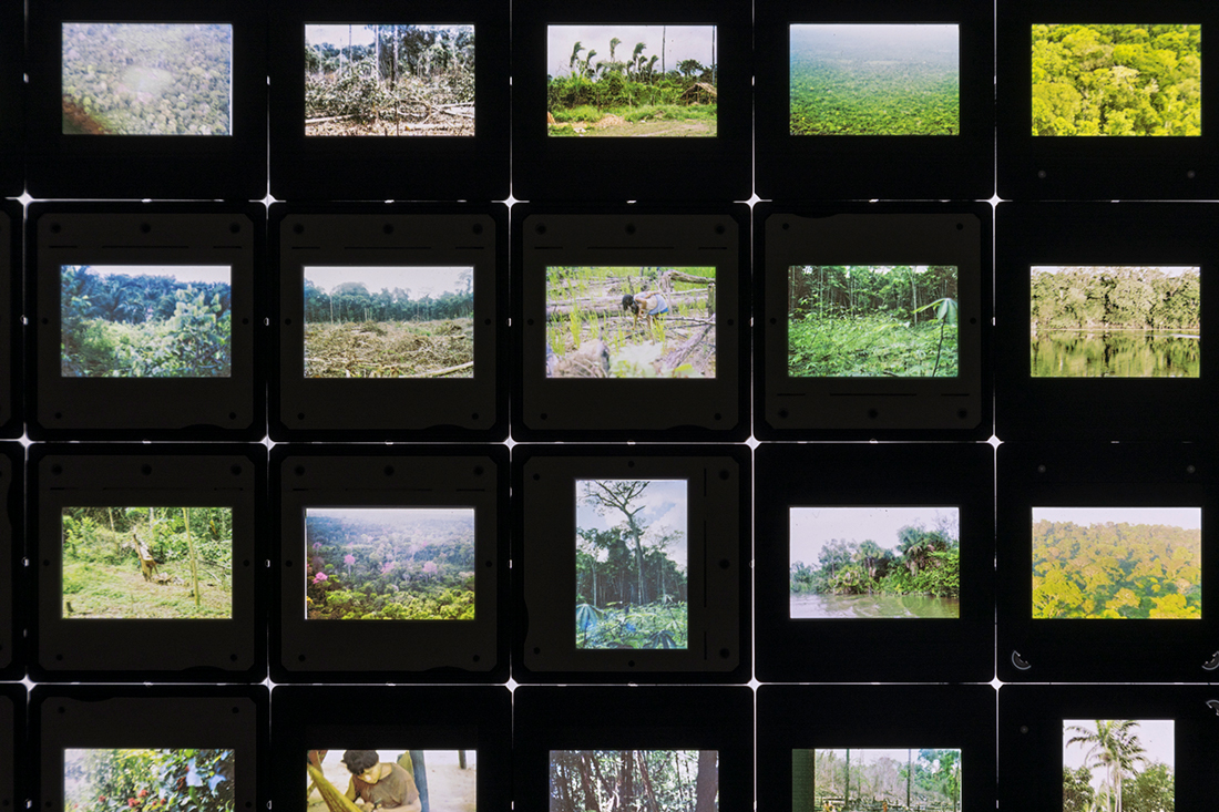 231213_W_P_La-Bienal_04