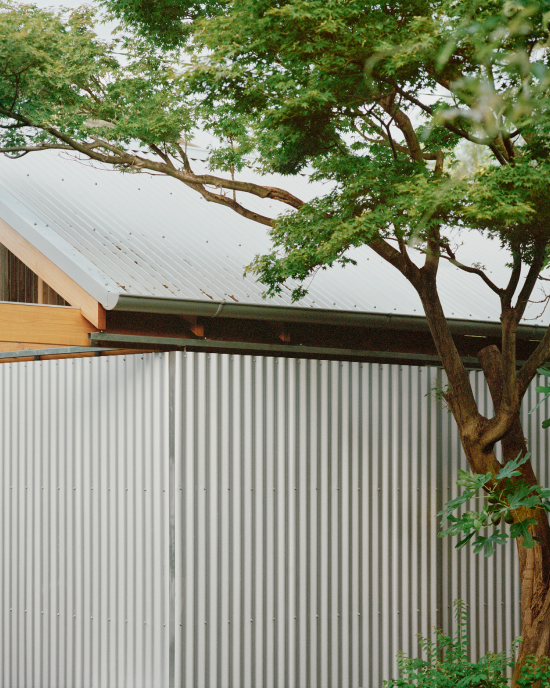 240312_W_P_Lily’s Shed_02