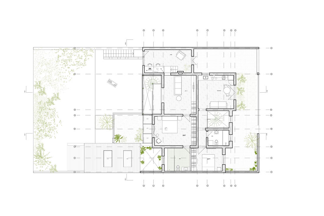 Planta alta